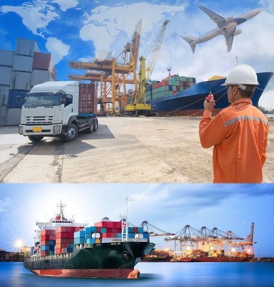 واردات و صادرات کالا